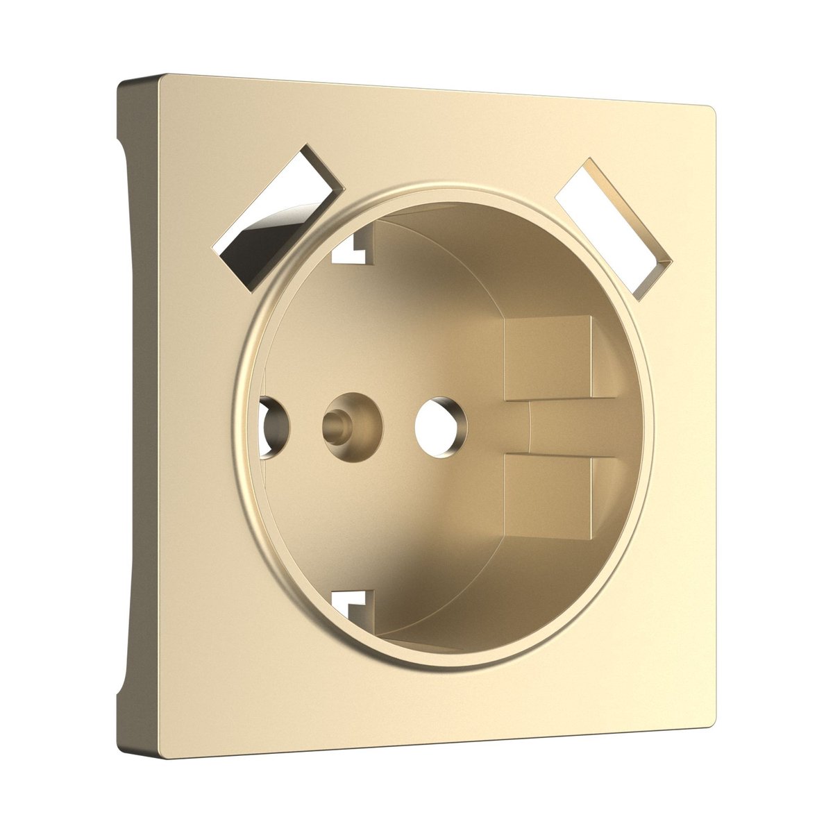 Накладка для розетки USB (шампань)